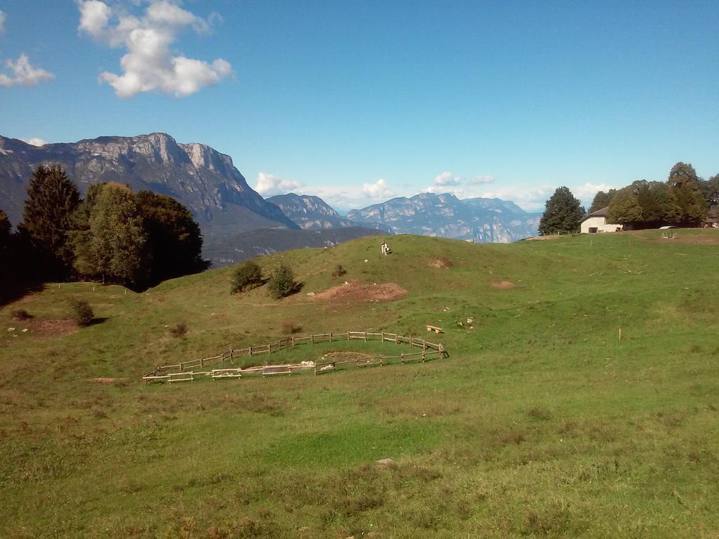 B&B Trento Nord Dış mekan fotoğraf